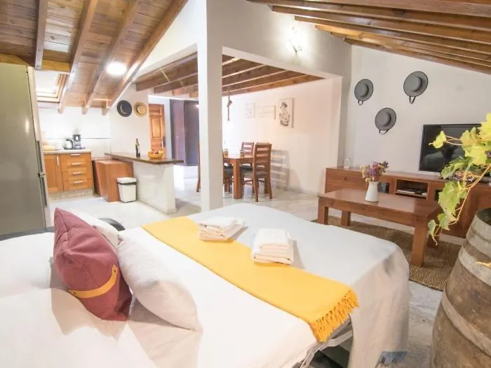 Apartamentos Granada Centro 0*,